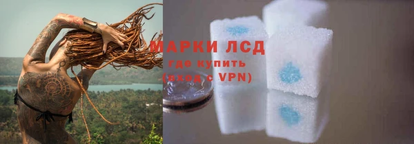 стаф Липки