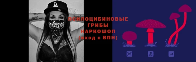 mdma Ладушкин