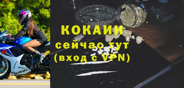гидра Лагань