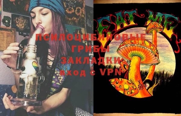 гидра Лагань