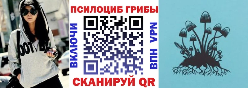 наркошоп  Чердынь  Псилоцибиновые грибы мухоморы 
